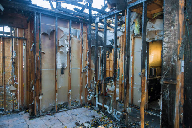 Professional Fire Damage Assessment technician working in Harvest, AL
